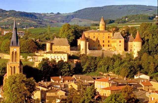 法国里昂葡萄园（Lyon vineyard）