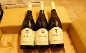 夏布利干白葡萄酒2009 Chablis 2009